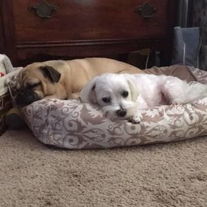 Meet your Posher, Melanie